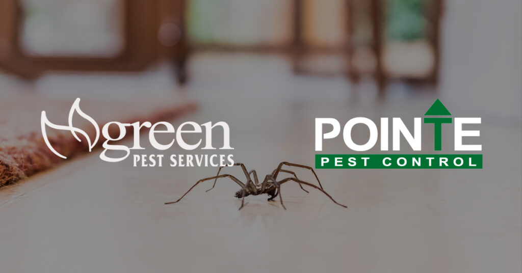 Green Pest Client Story