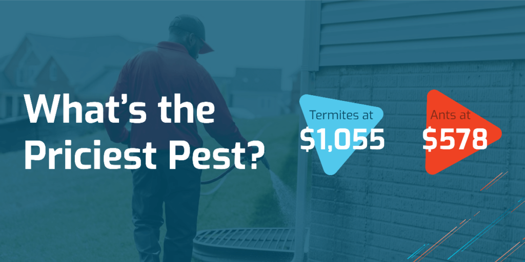 Pest Control Service Prices