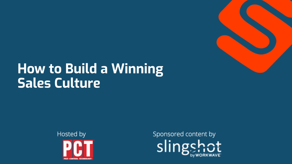 How to build a winning sales culture